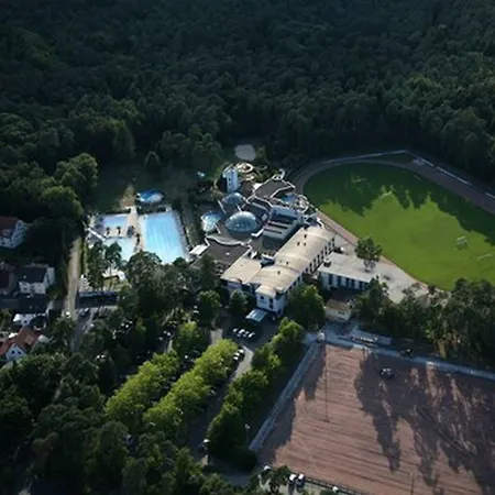 Отель Vital Westfalen Therme Wellness & 4*